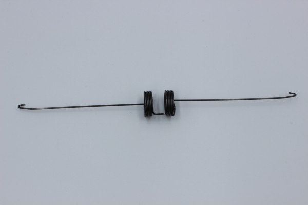 6" Wafer-Haltefeder